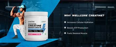 Wellcore creatine monohydrate 33 servings (flavoured) | 122 Gms (Free Delivery)